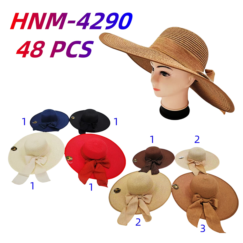 HNM-4290 CS48